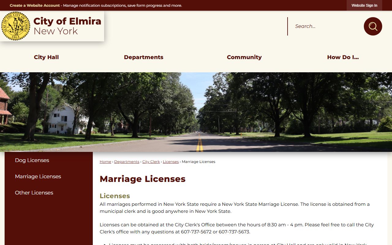 Chemung County and Elmira City Clerk marriage records